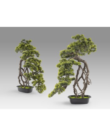 KENGAI - BONSAI 74CM- SET 2
